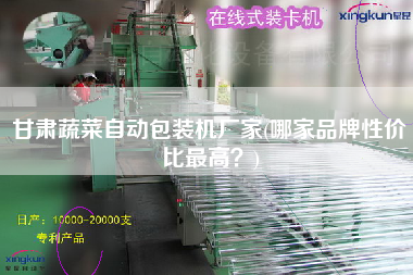 甘肅蔬菜自動(dòng)包裝機(jī)廠家(哪家品牌性價(jià)比z高？)