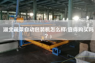 湖北蔬菜自動(dòng)包裝機(jī)怎么樣(值得X嗎？)