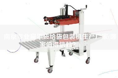 南京專業(yè)扁平袋給袋包裝機(jī)生產(chǎn)廠家(哪家值得信賴？)