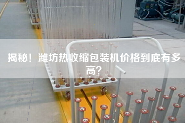 揭秘！濰坊熱收縮包裝機(jī)價(jià)格到底有多高？