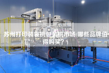 蘇州打印裝袋機(jī)包裝機(jī)市場(chǎng)(哪些品牌值得X？)