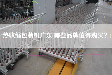 熱收縮包裝機廣東(哪些品牌值得X？)