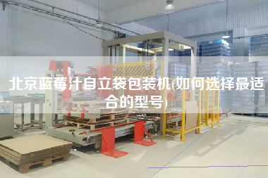 北京藍(lán)莓汁自立袋包裝機(jī)(如何選擇z適合的型號(hào))
