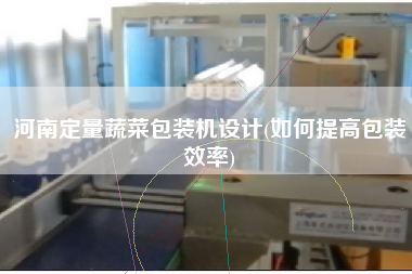 河南定量蔬菜包裝機(jī)設(shè)計(如何提高包裝效率)