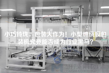 X，包裝大作為！小型纏繞膜包裝機(jī)究竟能否成為行業(yè)黑馬？