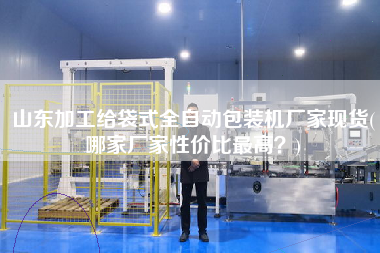 山東加工給袋式全自動(dòng)包裝機(jī)廠家現(xiàn)貨(哪家廠家性價(jià)比z高？)