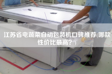 江蘇省電蔬菜自動(dòng)包裝機(jī)口碑推薦(哪款性價(jià)比z高？)