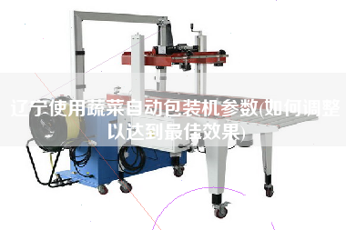 遼寧使用蔬菜自動包裝機參數(如何調整以達到z佳效果)