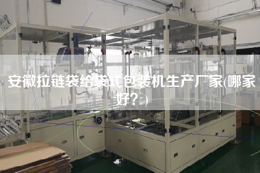 安徽拉鏈袋給袋式包裝機(jī)生產(chǎn)廠家(哪家好？)