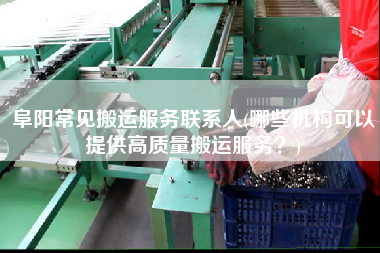 阜陽常見搬運服務(wù)聯(lián)系人(哪些機構(gòu)可以提供高質(zhì)量搬運服務(wù)？)