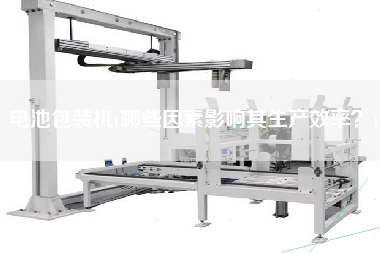 電池包裝機(jī)(哪些因素影響其生產(chǎn)效率？)