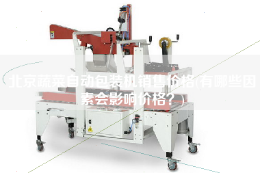 北京蔬菜自動(dòng)包裝機(jī)X價(jià)格(有哪些因素會(huì)影響價(jià)格？)