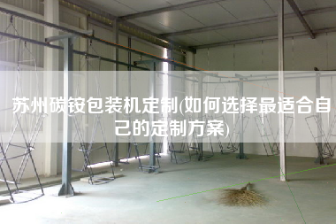 蘇州碳銨包裝機(jī)定制(如何選擇z適合自己的定制方案)